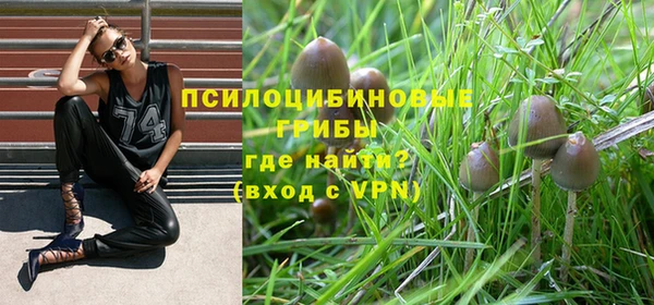 СК Пестово
